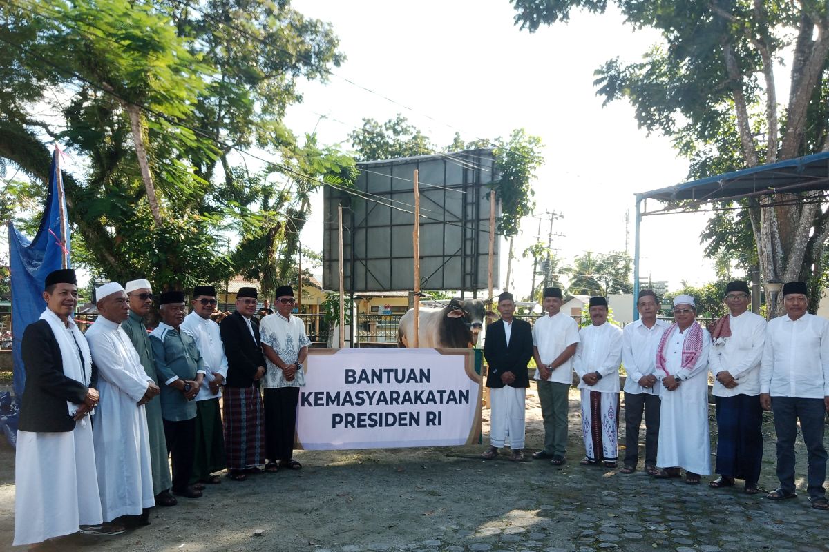 Daging sapi kurban Presiden di Belitung dibagikan ke warga kurang mampu