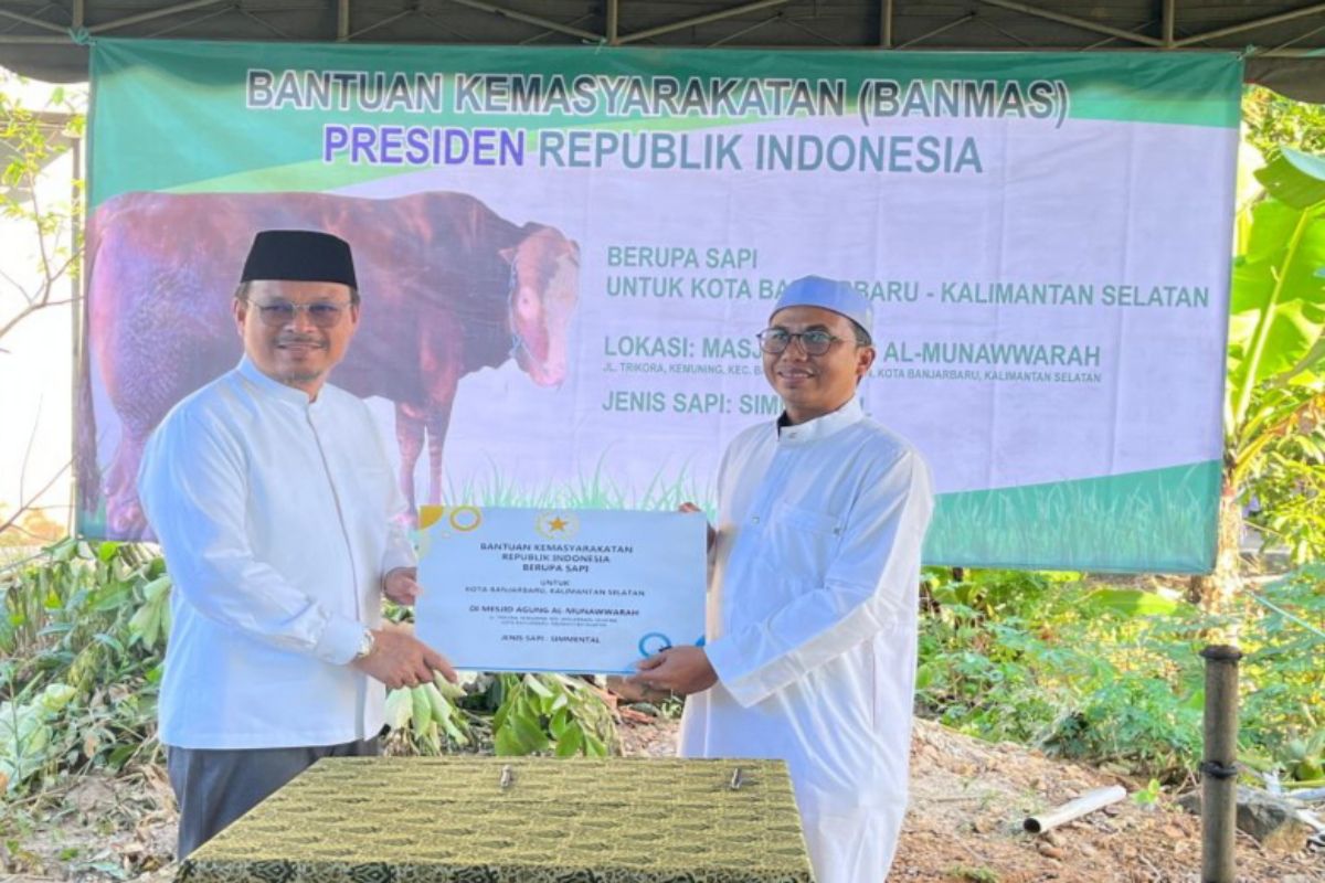 Presiden Prabowo kurban sapi simental di Banjarbaru