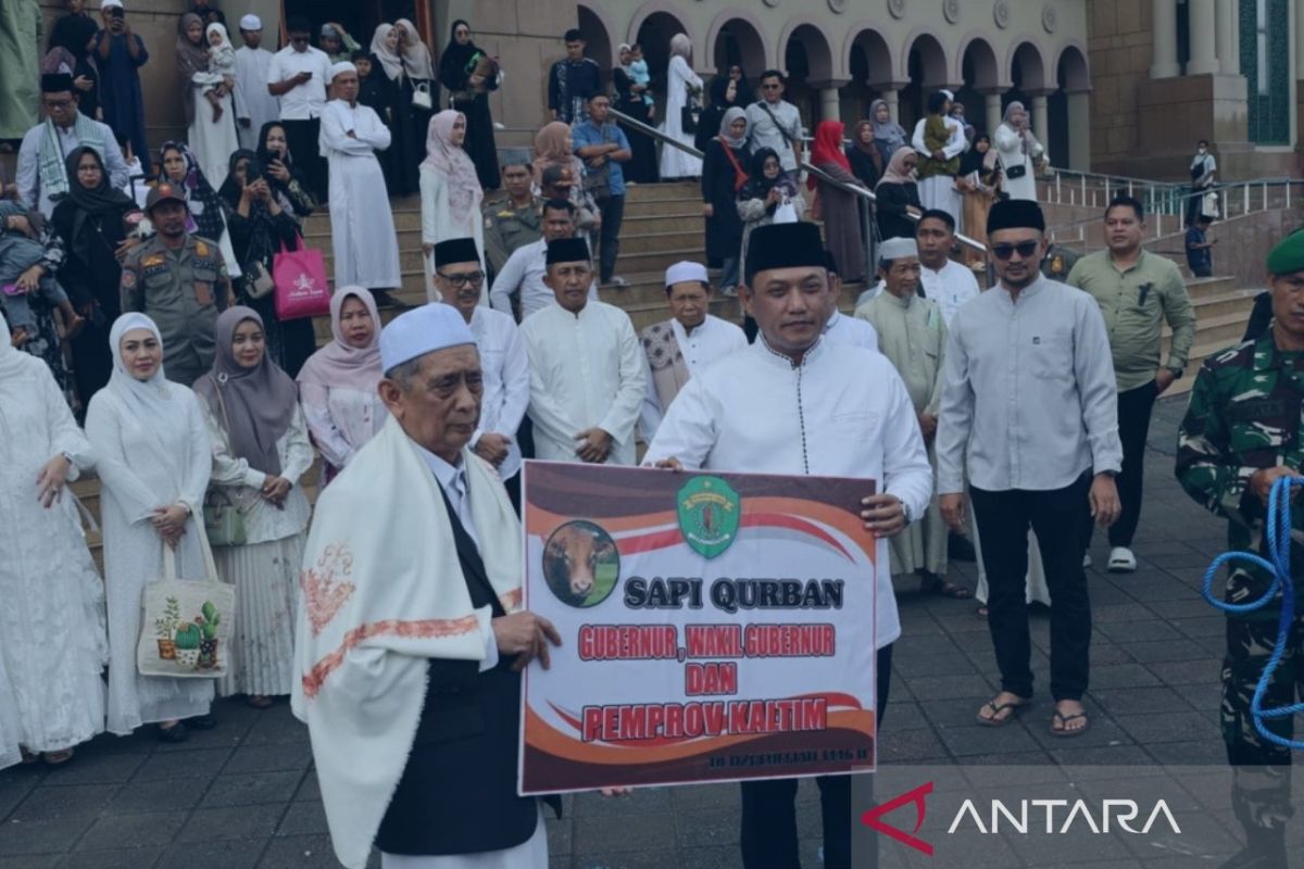 Pemprov Kaltim  salurkan 21 sapi kurban untuk masyarakat