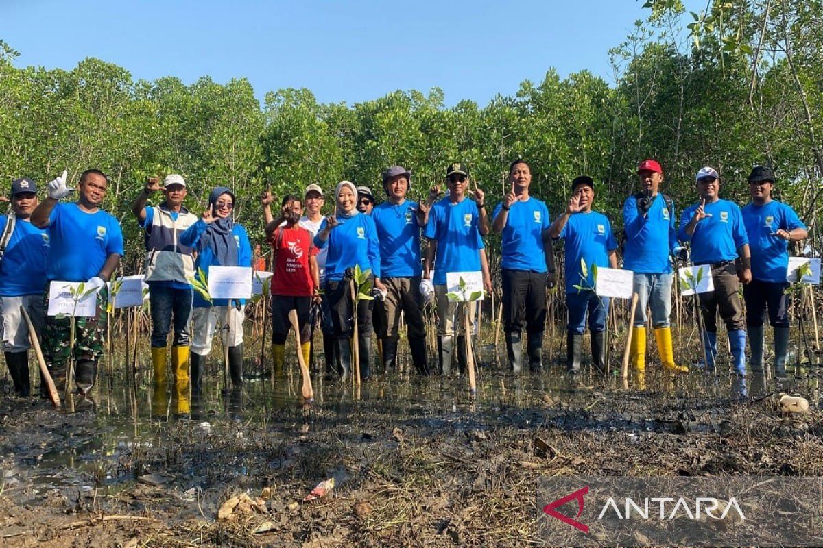 Pemkab Batang siapkan 117 ribu mangrove untuk cegah abrasi