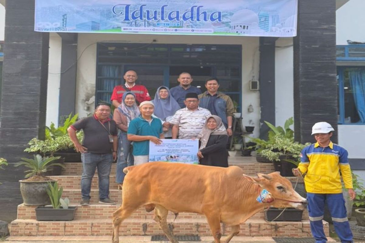 Pelindo Batulicin salurkan hewan kurban ke masyarakat