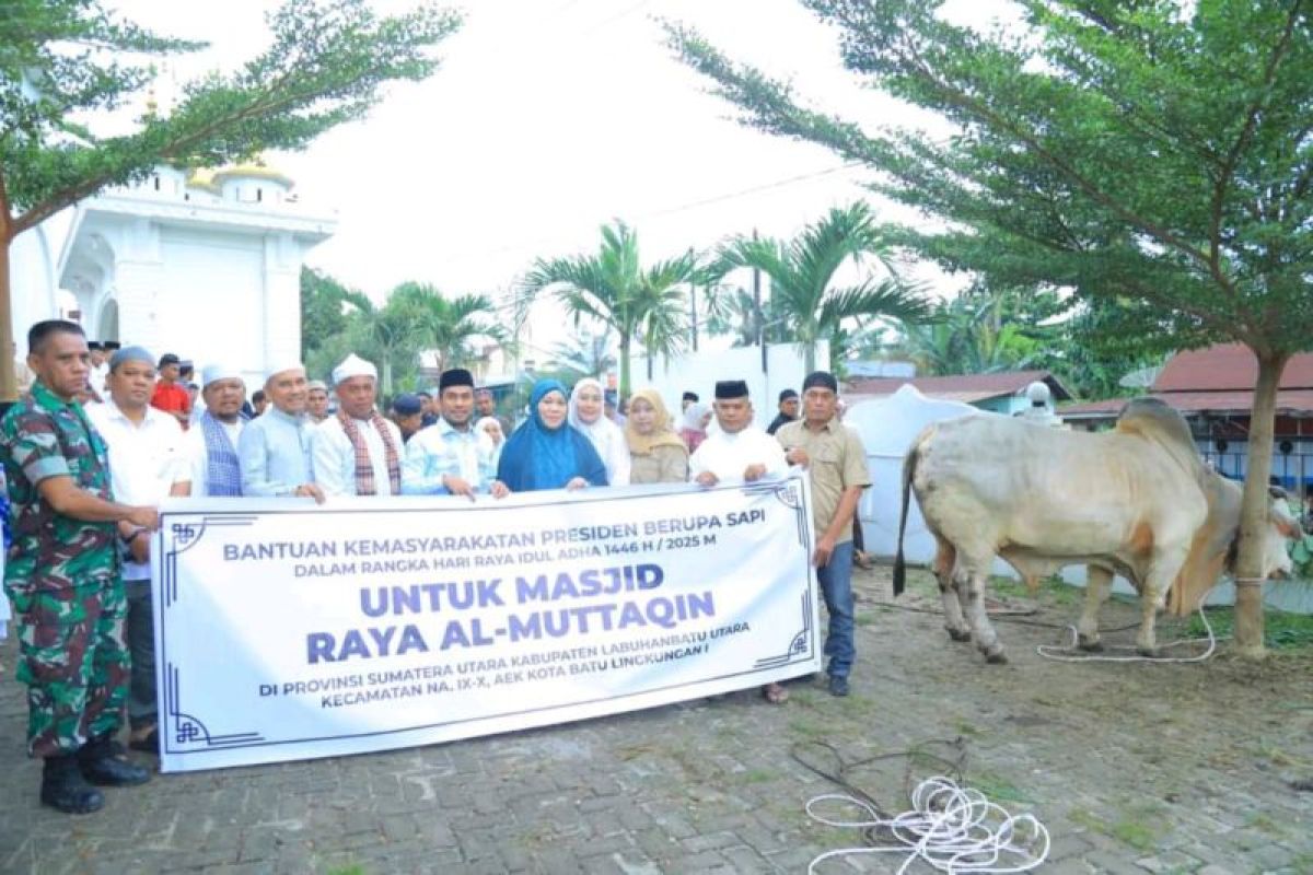 Labura dapat lembu kurban Presiden RI