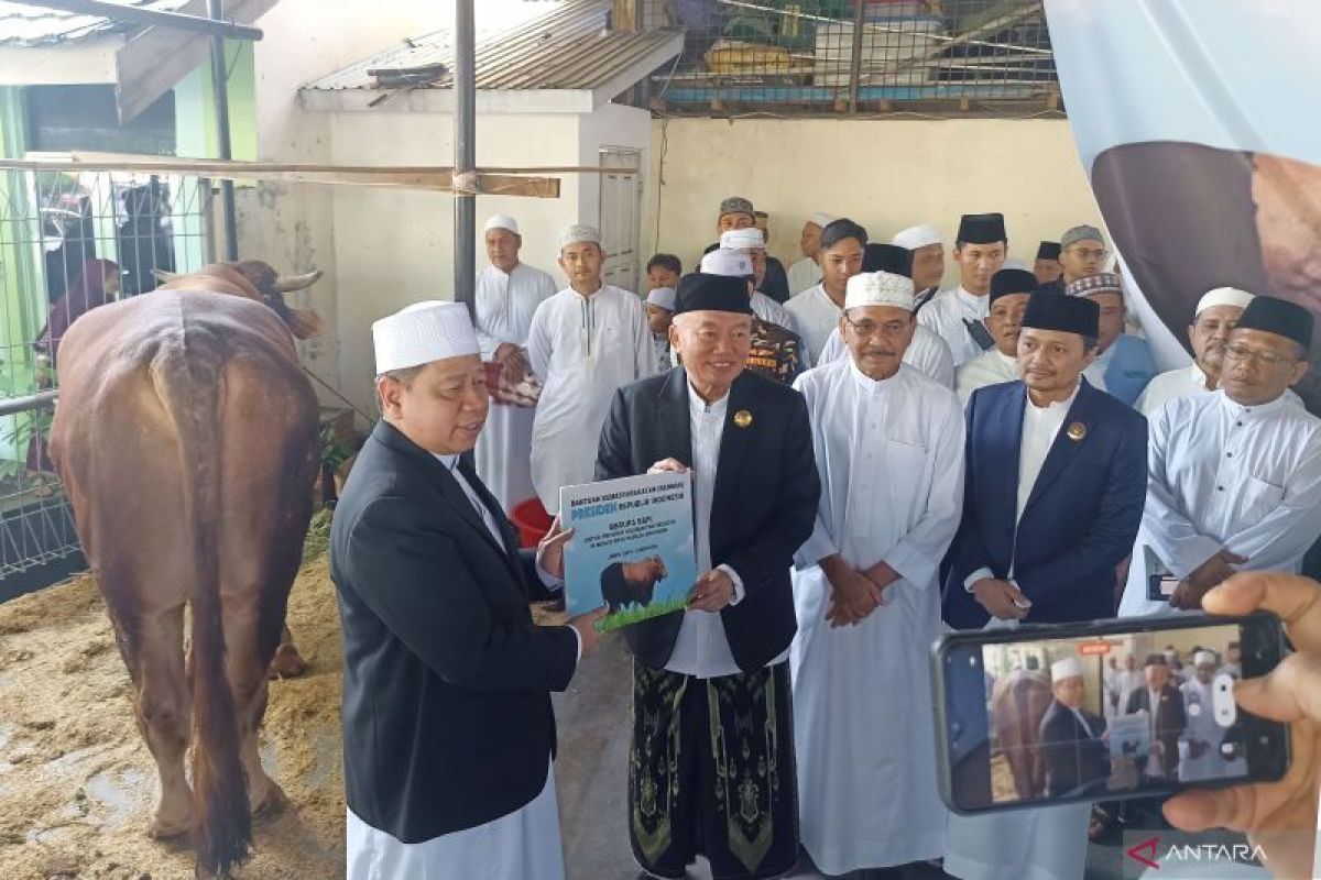 Gubernur Muhidin serahkan sapi presiden di Masjid Raya Sabilal Muhtadin