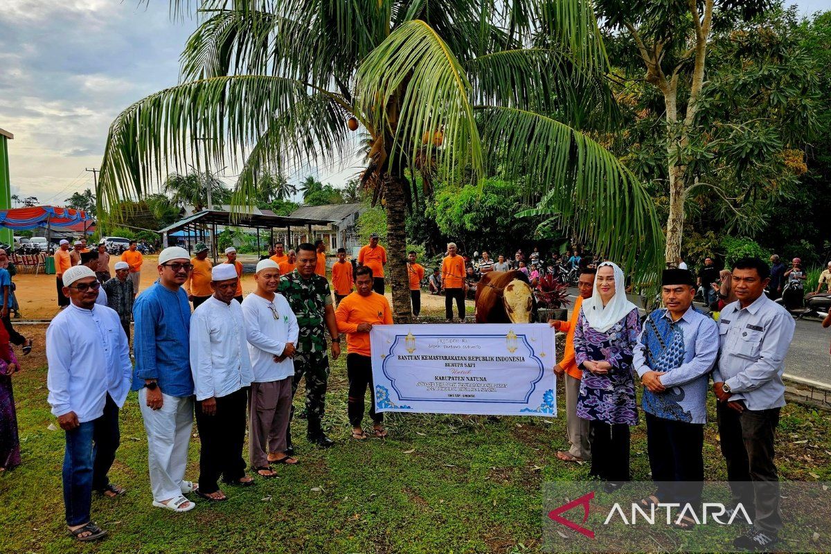 Bupati Chen serahkan sapi kurban Presiden ke Masjid Ibnu Salim