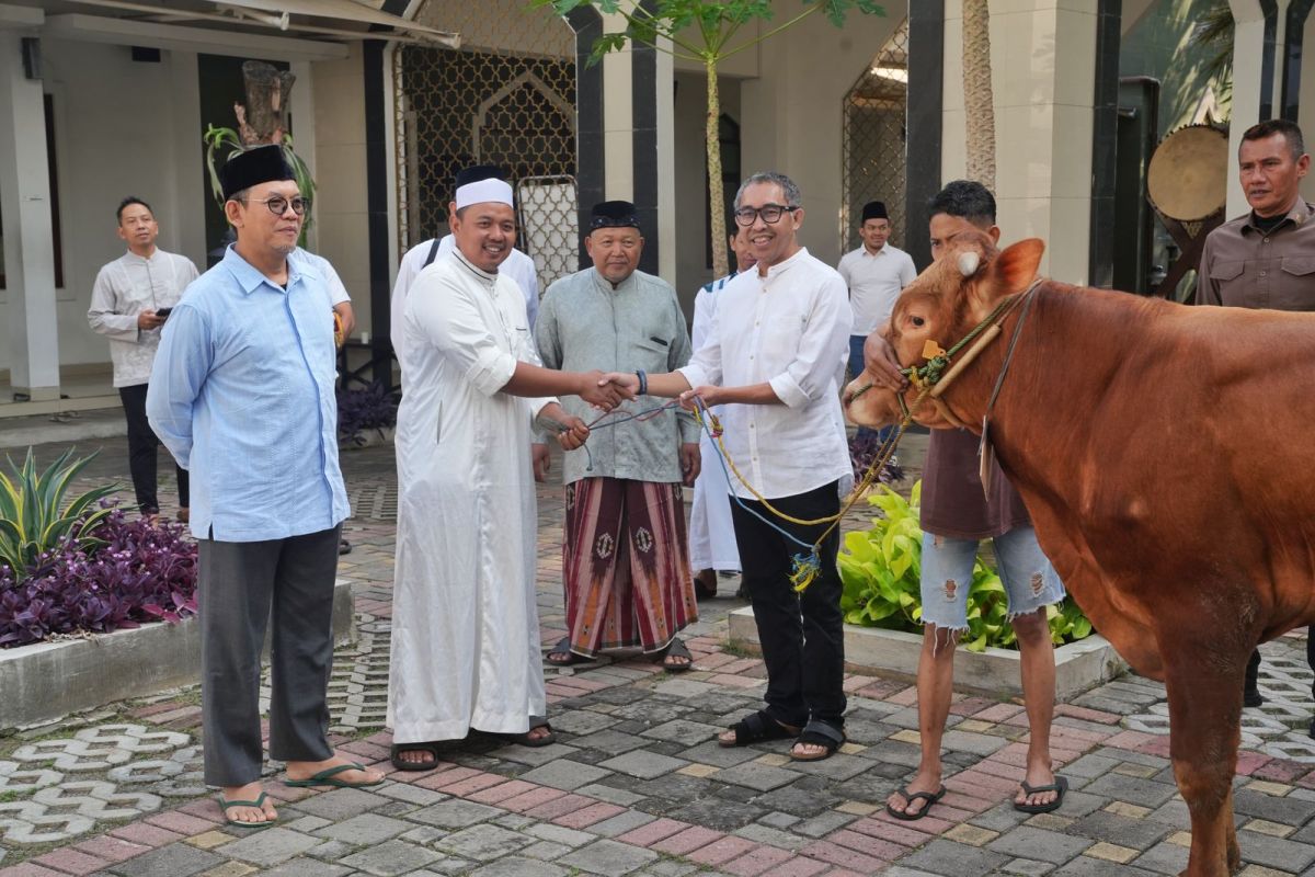 PGN Group berbagi 955 hewan kurban pada Idul Adha 2025