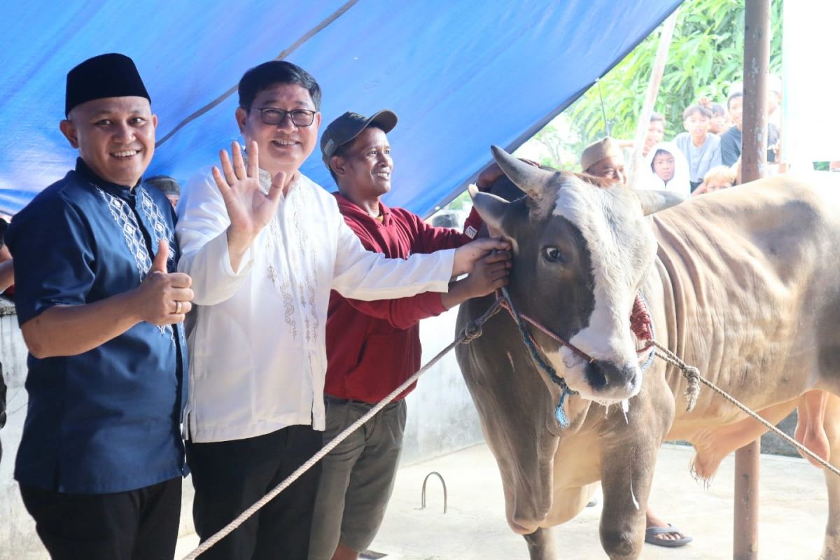 Bupati Belitung Timur serahkan sapi Presiden ke Masjid Assalam Desa Baru