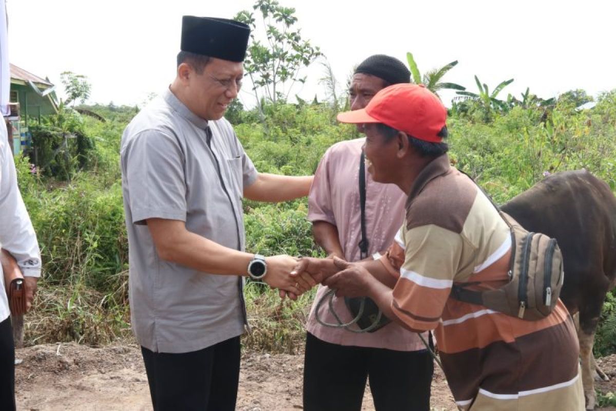 Kapolda Kaltara Serahkan 4 Ekor Sapi Kurban untuk Warga SP 6 hingga SP 9 Tanjung Buka