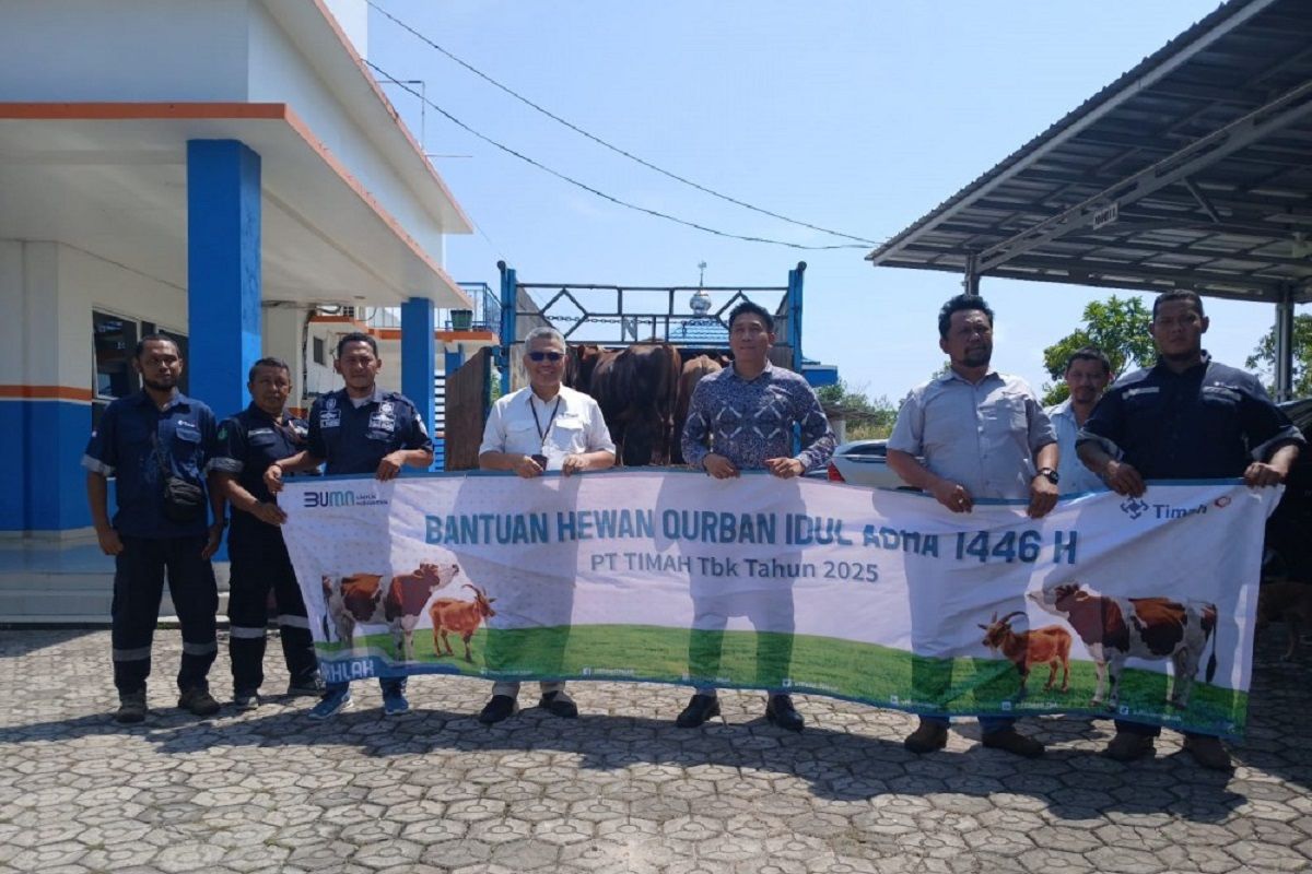 Idul Adha Penuh Makna, PT Timah bagikan hewan kurban bantu masyarakat Bangka Barat