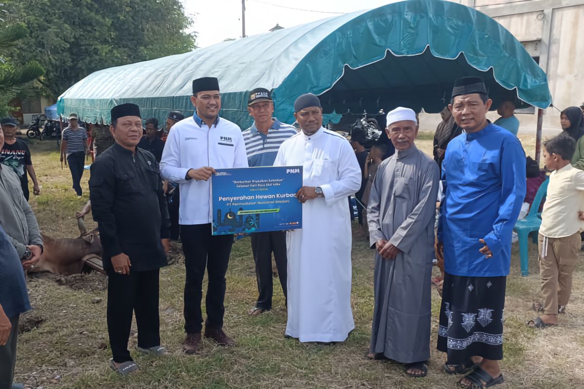 PNM salurkan kurban di 65 Gampong di Aceh