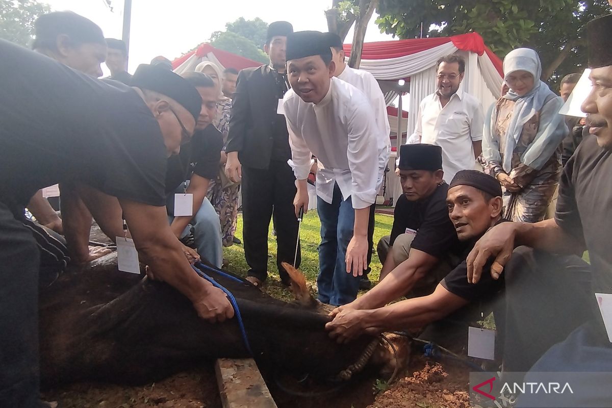 Ketua DPD RI  sembelih langsung sapi kurban dalam rangka Idul Adha