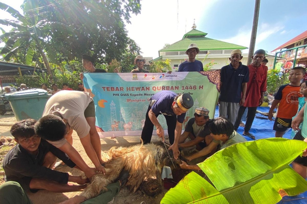 PHE OSES salurkan kurban ke 15 lokasi di wilayah pesisir dan kepulauan