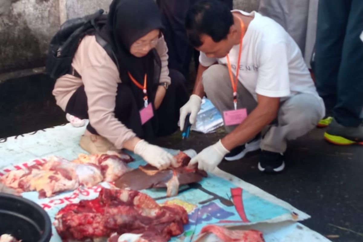 Enam kasus penyakit daging kurban ditemukan di Mataram