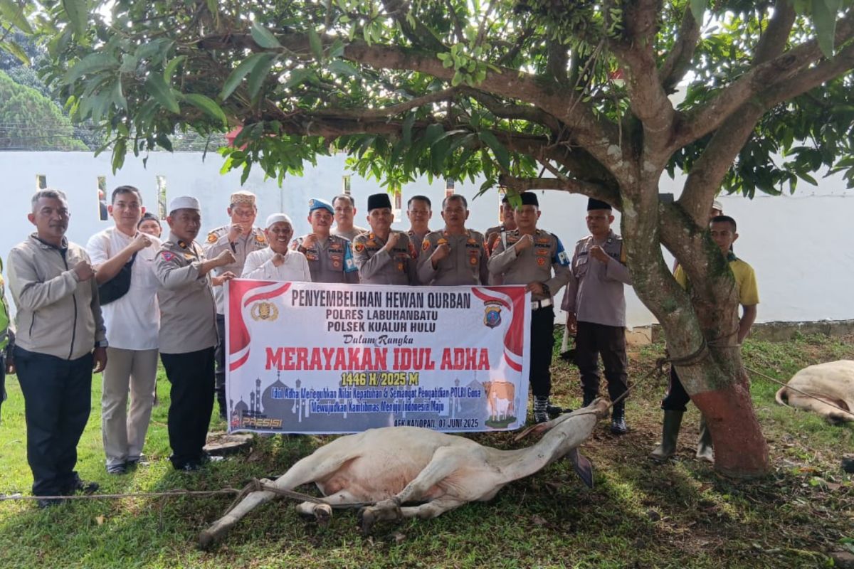 Polsek Kualuhhulu sembelih dua lembu, 130 paket daging dibagikan