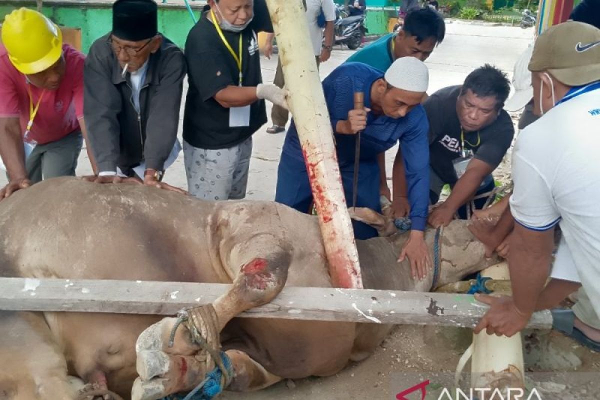 BKM Masjid Agung Biak membagikan 600 kupon daging kurban Presiden Prabowo