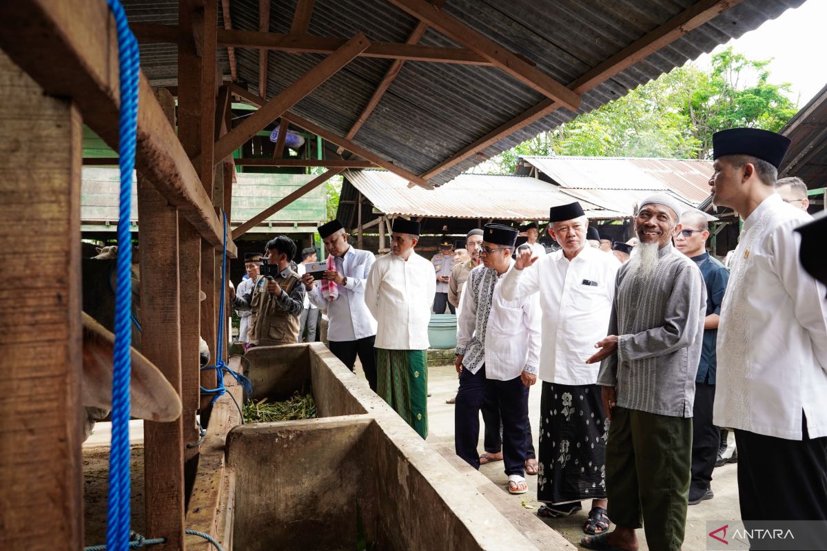 Brazilian off-taker to aid Indonesia's beef industry: Minister