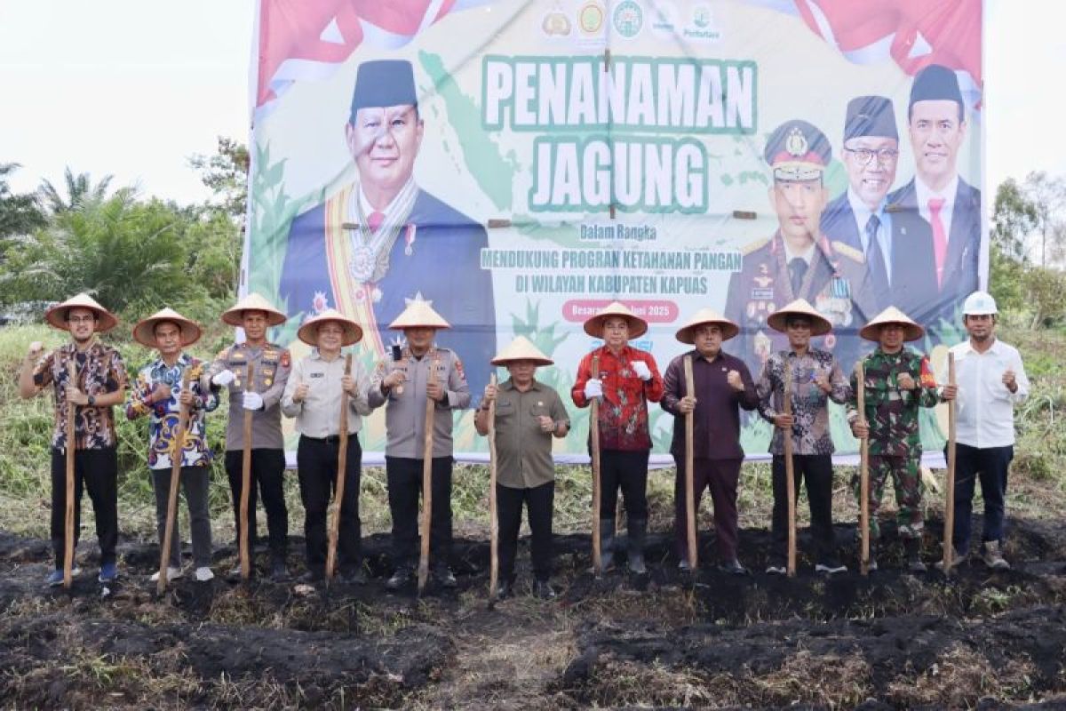 Legislator Kapuas dukung percepatan swasembada jagung