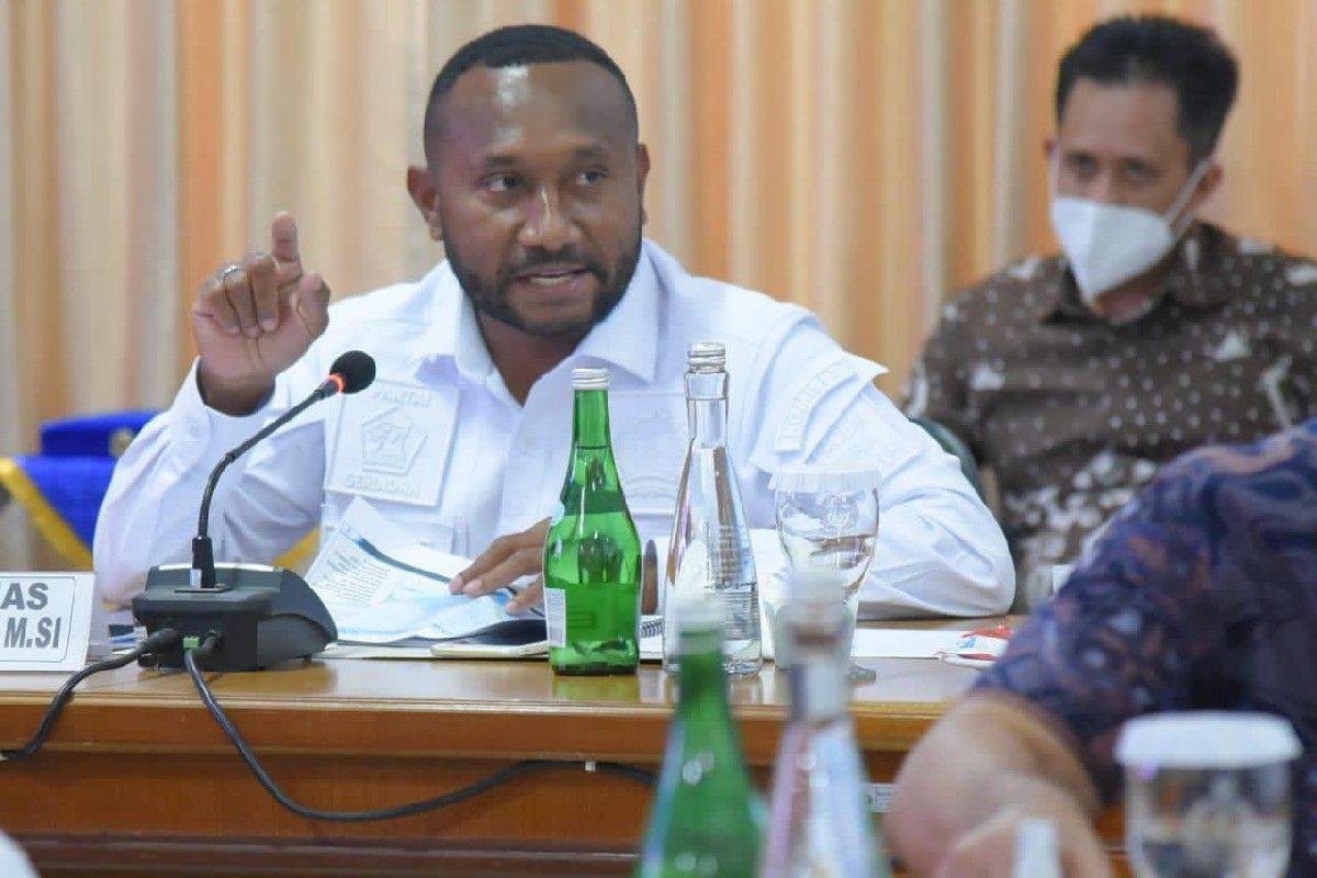 Mandenas: Pemerintah tertibkan izin penambangan di Papua