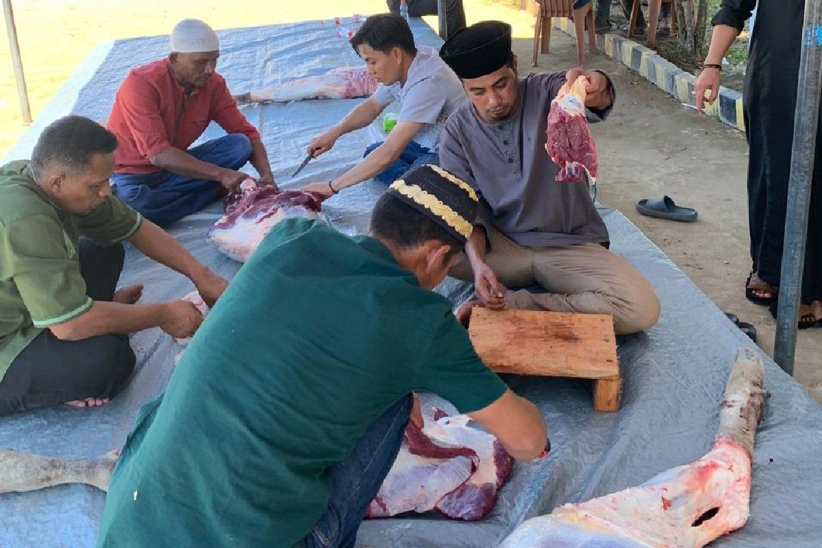 Pertamina serahkan 136 hewan kurban di pelaksanaan Idul Adha 1446 H
