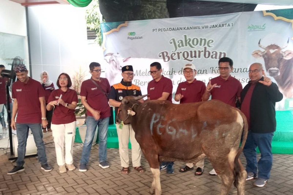 Pegadaian Kanwil 8 Jakarta salurkan 3.000 paket daging kurban