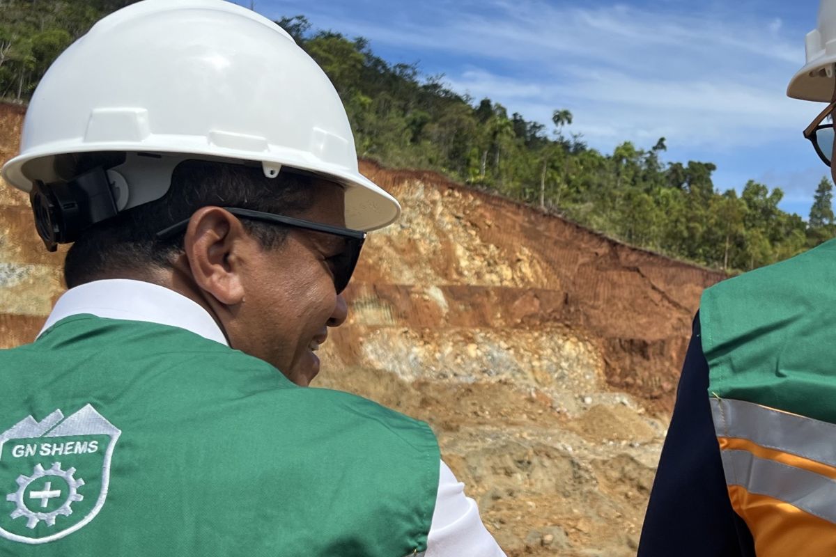 Energy minister deploys inspectors to review mines in Raja Ampat