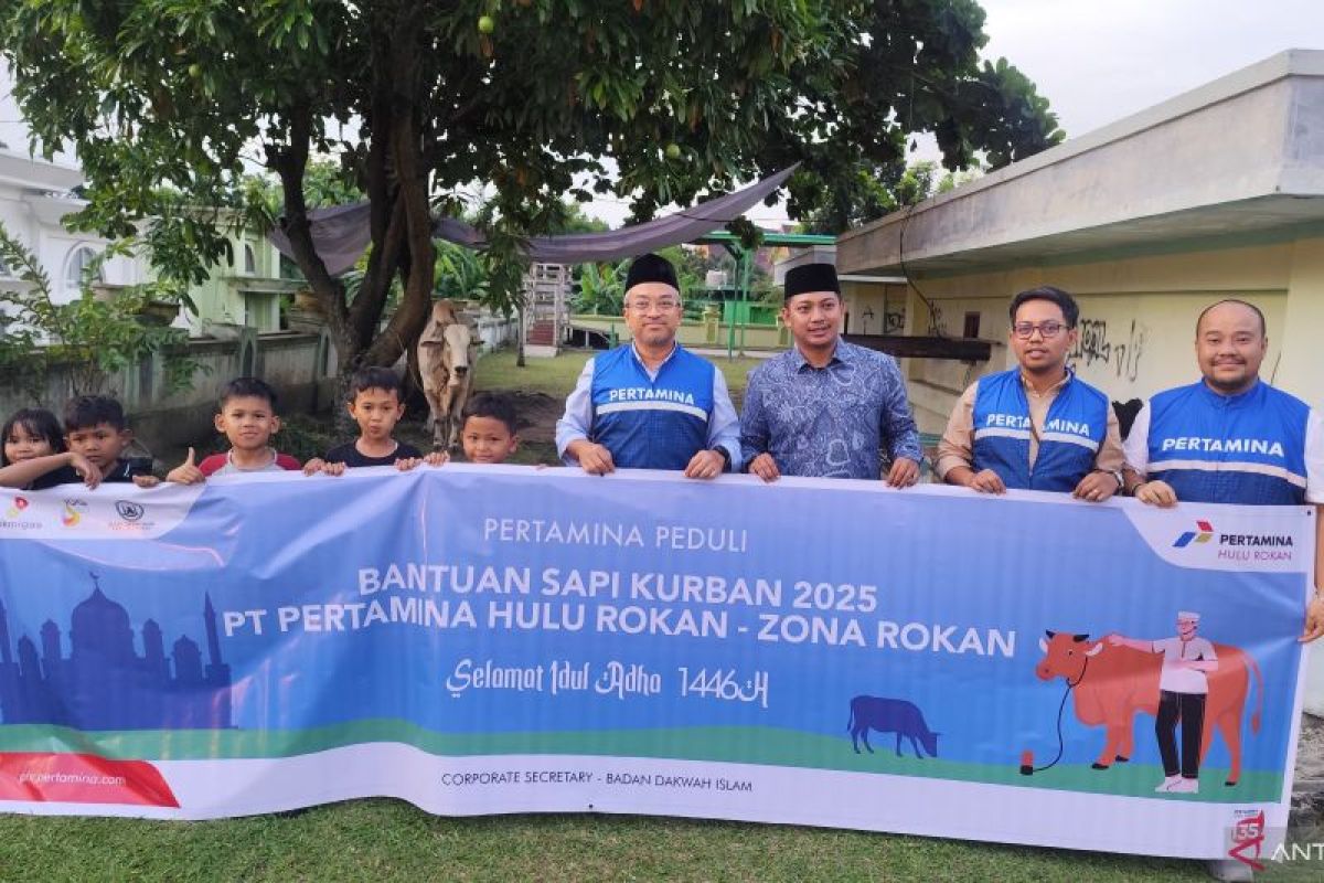 PHR Salurkan 192 Ekor Sapi di Zona Rokan