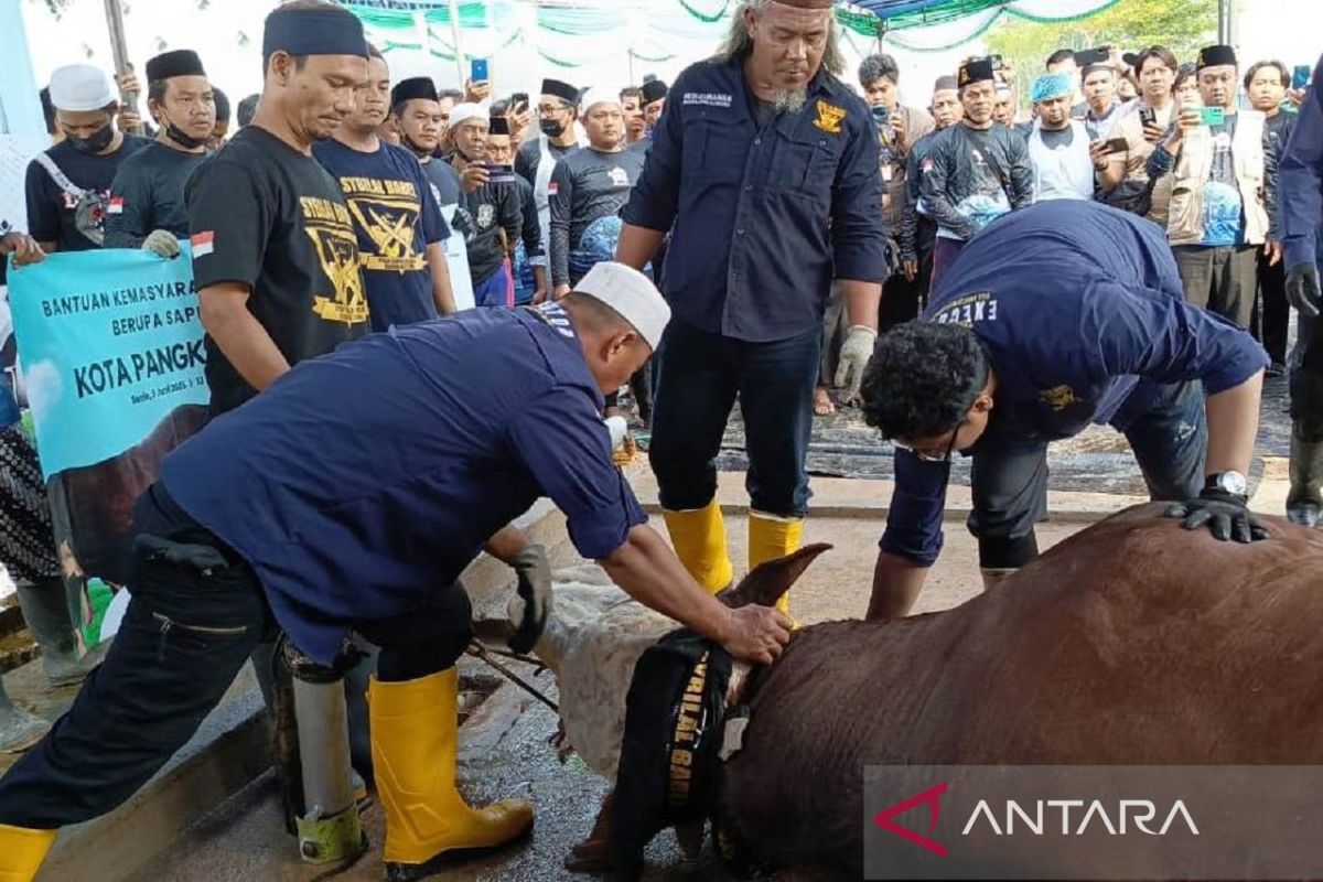 Masjid Kubah Timah Pangkalpinang bagikan 850 kupon daging kurban