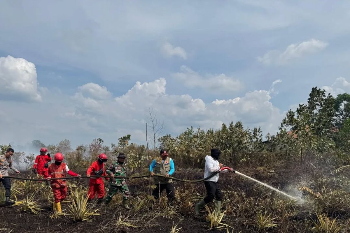 Karhutla meluas di jalur menuju Bandara Singkawang