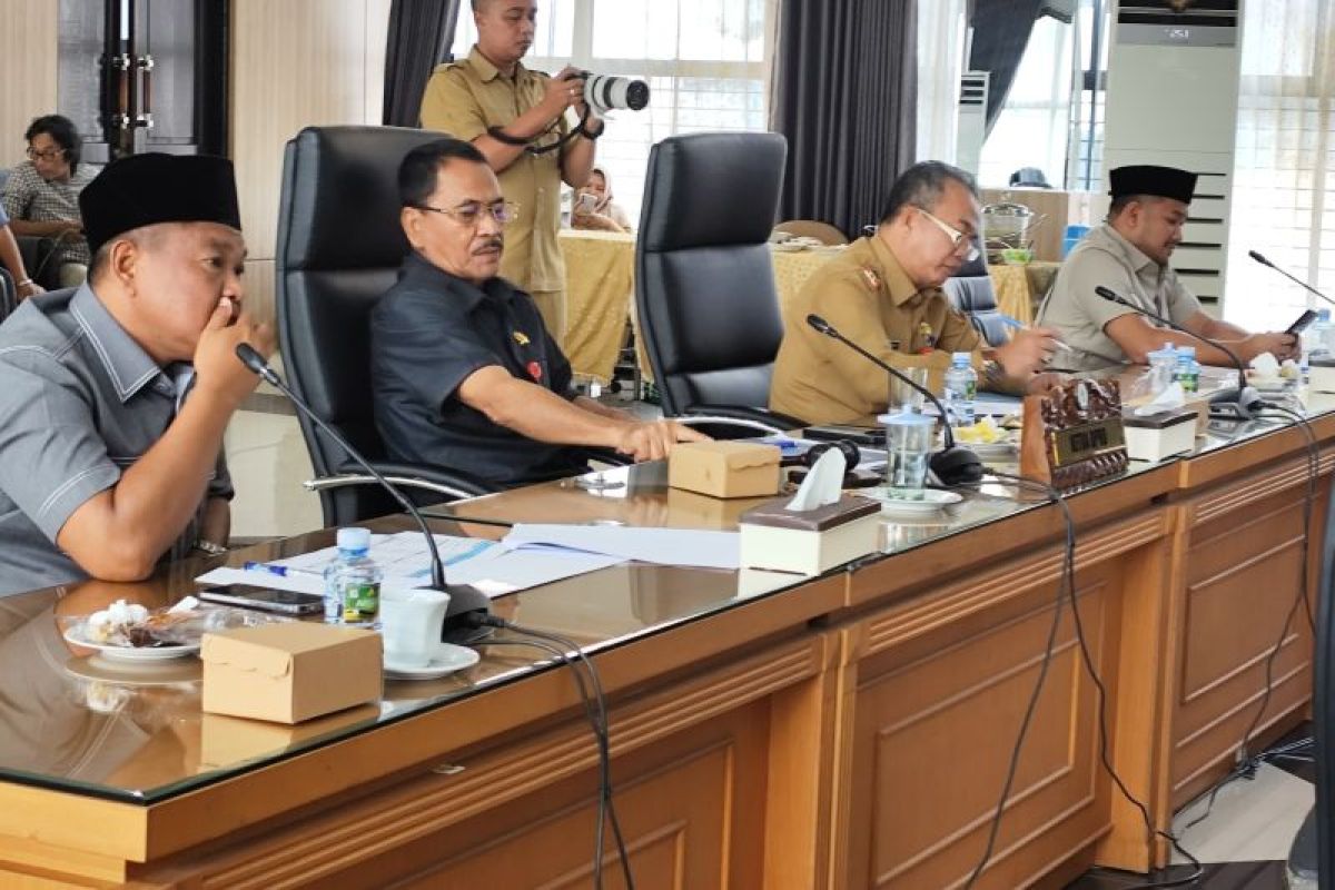 Anggota Banggar DPRD Kalsel soroti KUA-PPAS RAPBD-P 2025