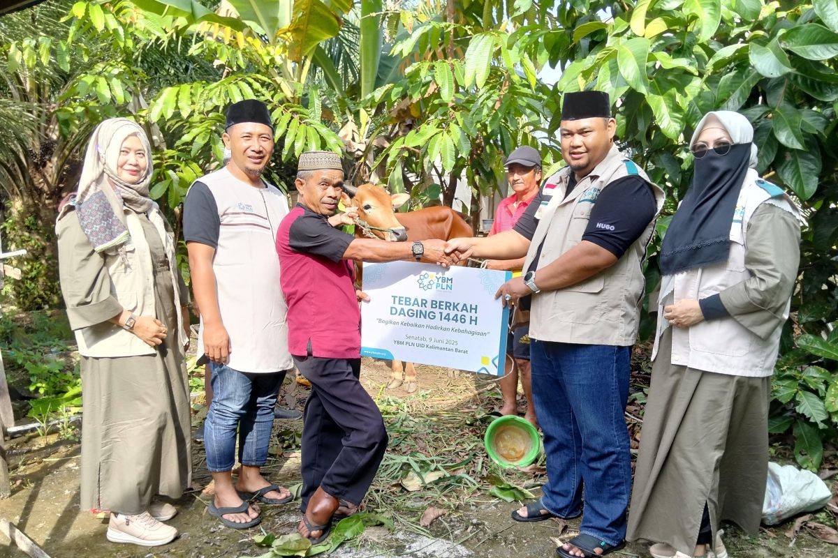 PLN dan YBM PLN tebar 2.048 paket daging kurban di Kalbar