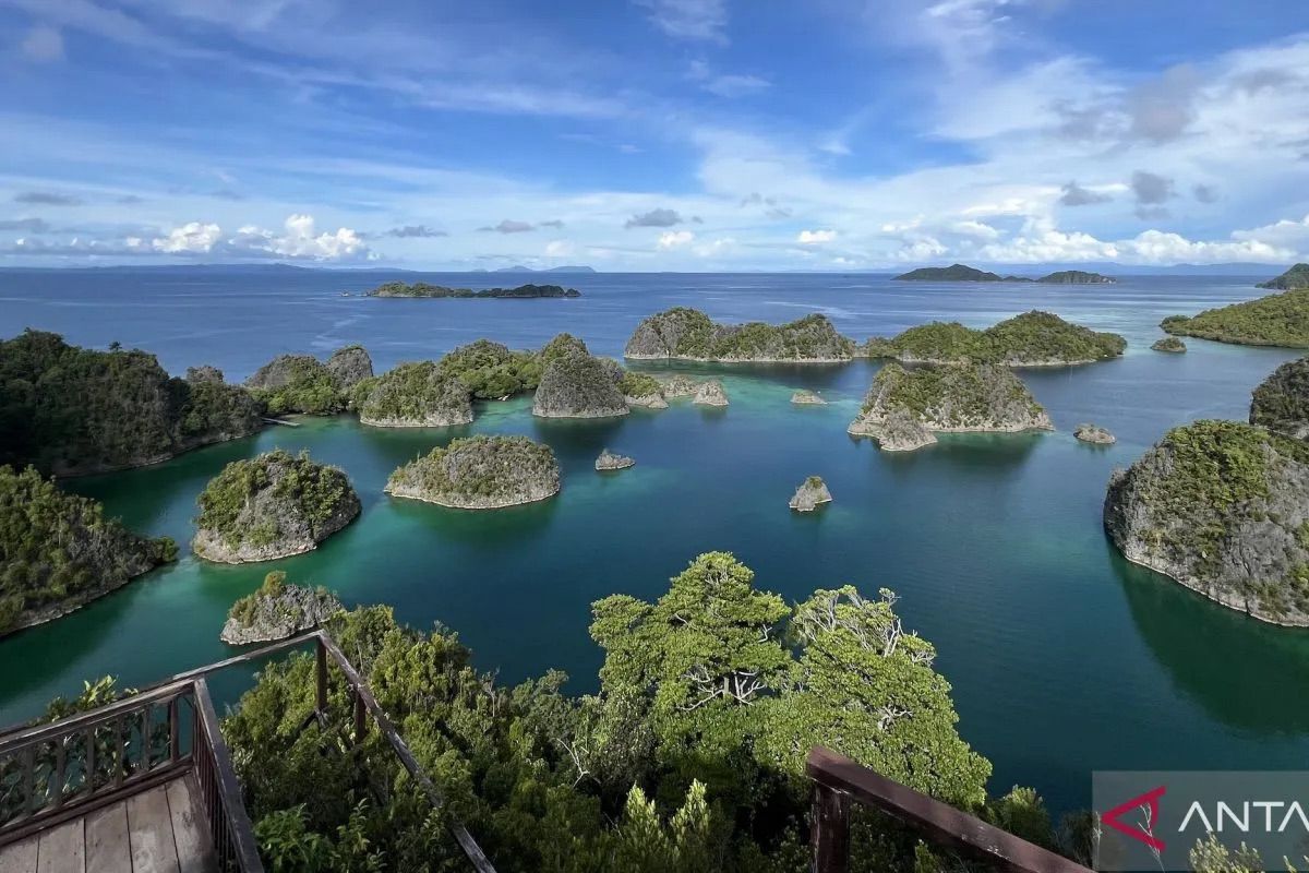 Kemenpar usulkan pembentukan tim lintas kementerian tangani Raja Ampat