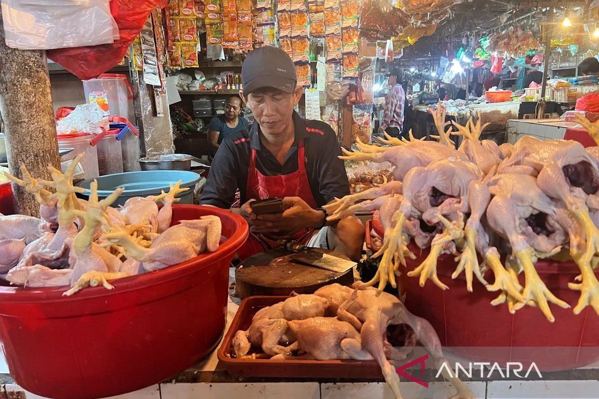 Harga pangan: Daging ayam Rp33.333/kg, cabai rawit merah Rp44.800/kg