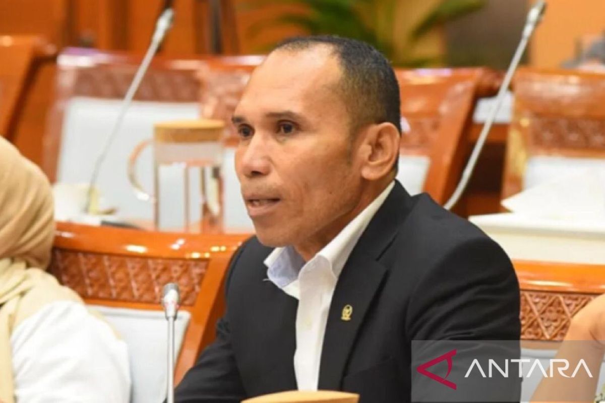 Anggota Komisi VII DPR RI gagas pelatihan teknologi kelautan untuk pemuda Maluku