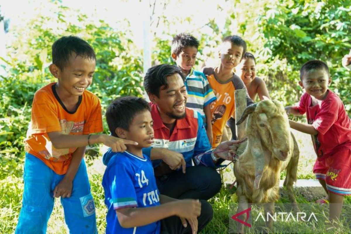 Pertamina Balikpapan salurkan lebih 18 ton daging kurban untuk 8.000 keluarga
