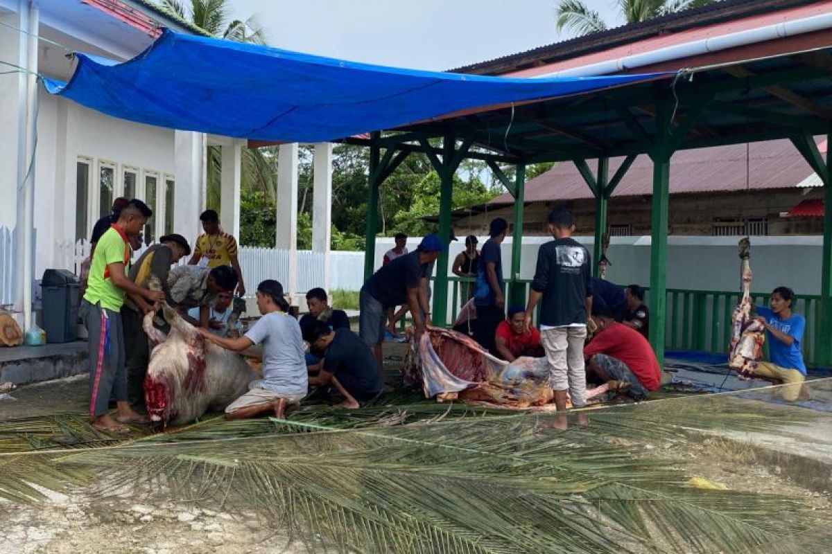 Semangat berbagi di Hari Raya Idul Adha, PLN UID Sumatera Barat salurkan daging kurban ke masyarakat