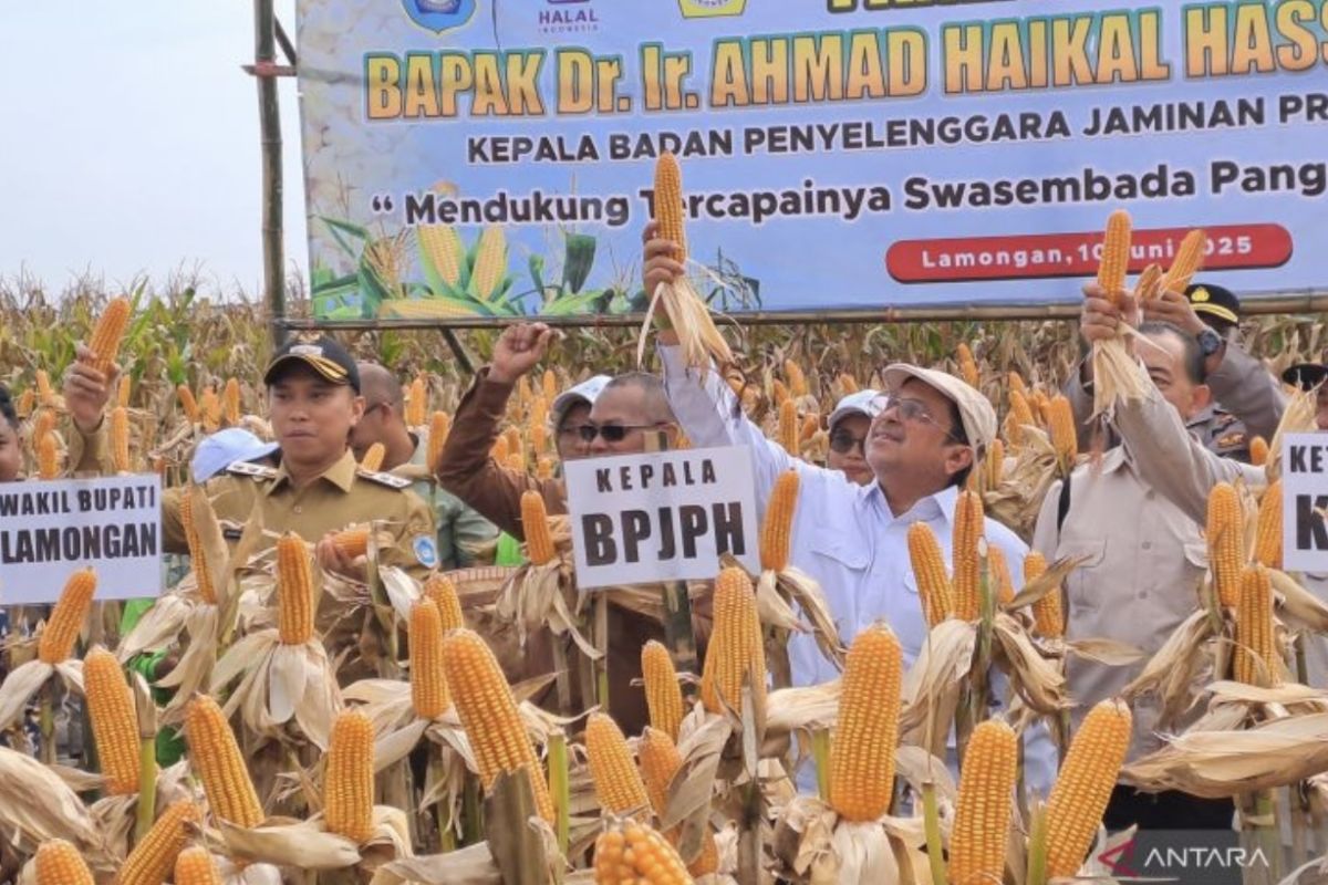 Strategi mewujudkan ketahanan pangan Indonesia