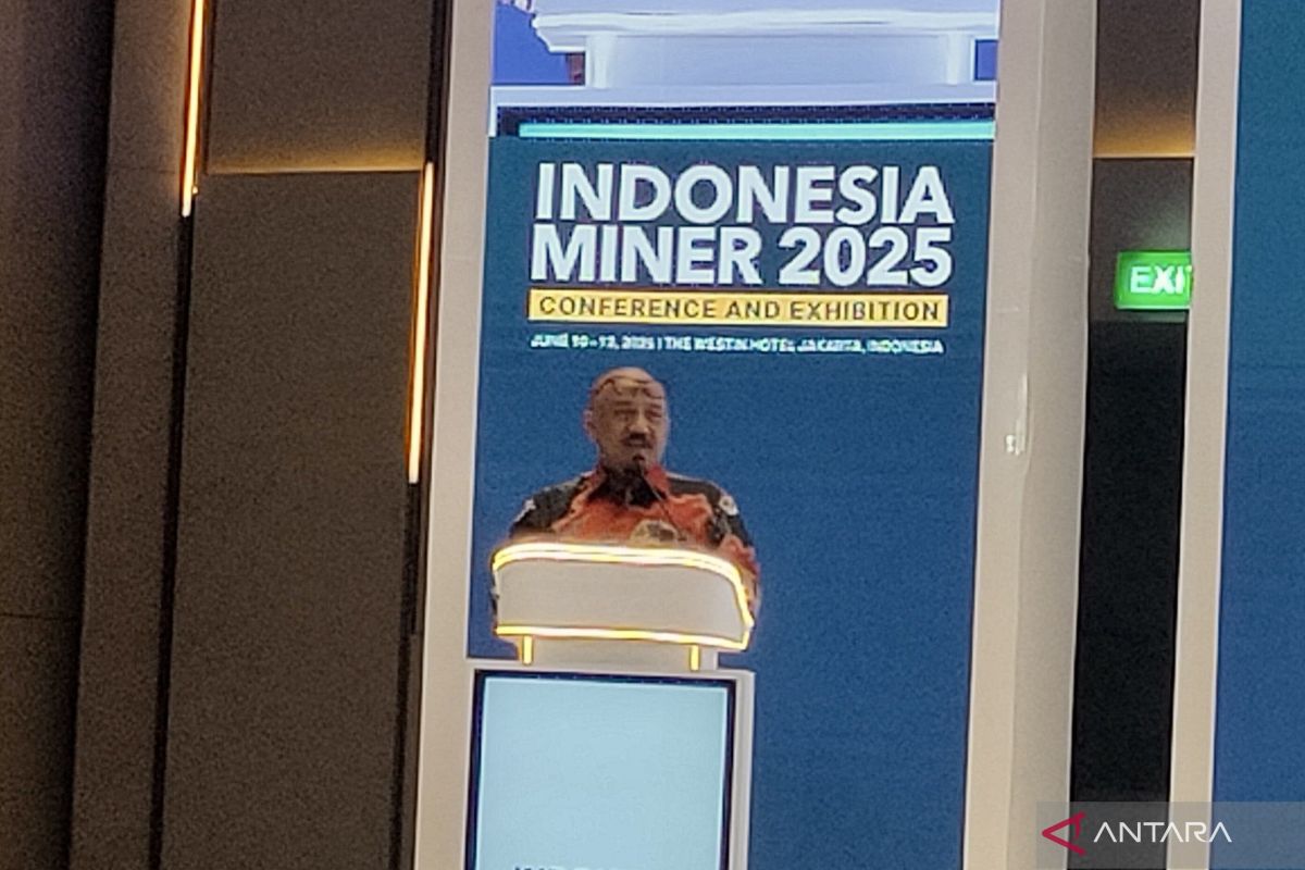 Mining sector helping drive energy transition, growth: govt