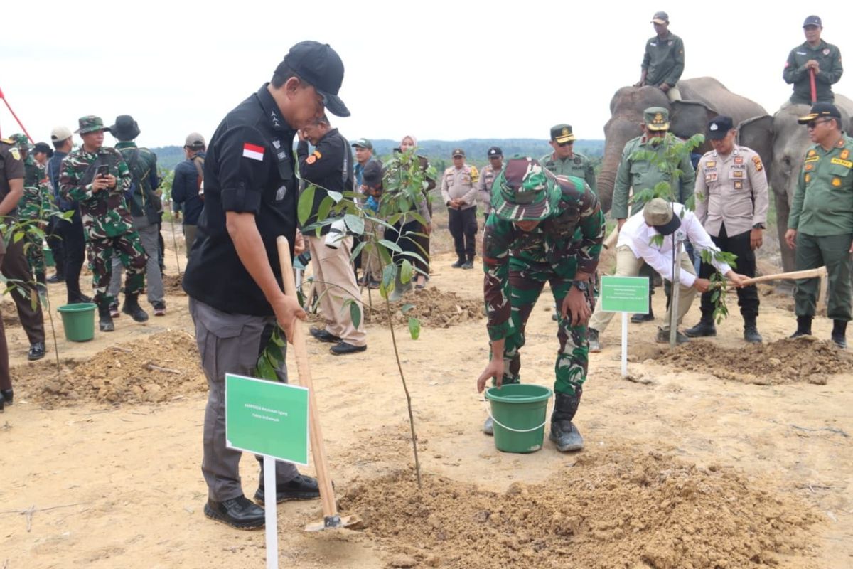 Satgas PKH telah kuasai kembali 2 juta hektare lahan