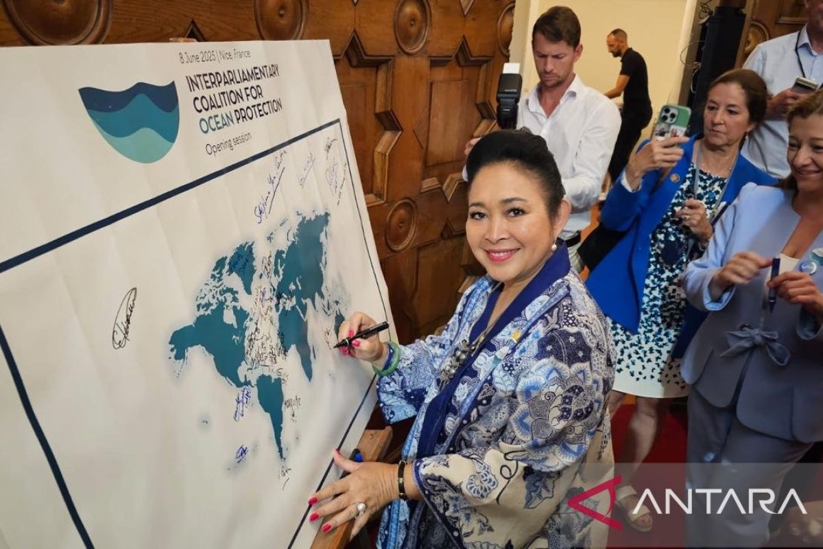 Ketua Komisi IV DPR: Kesehatan laut jadi kunci ketahanan pangan