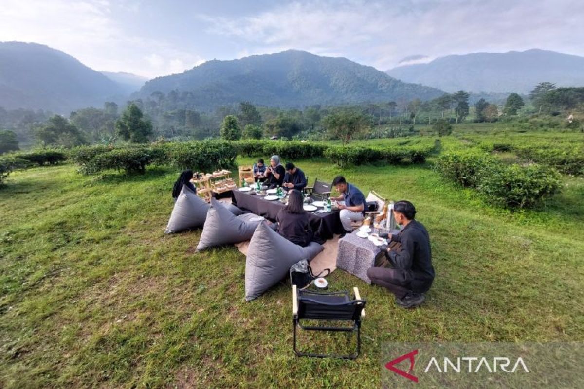 Menikmati hangatnya teh di tengah perkebunan ala Plataran Puncak