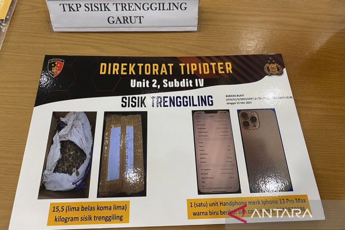 Bareskrim ungkap jaringan penjualan sisik tenggiling ilegal di Garut