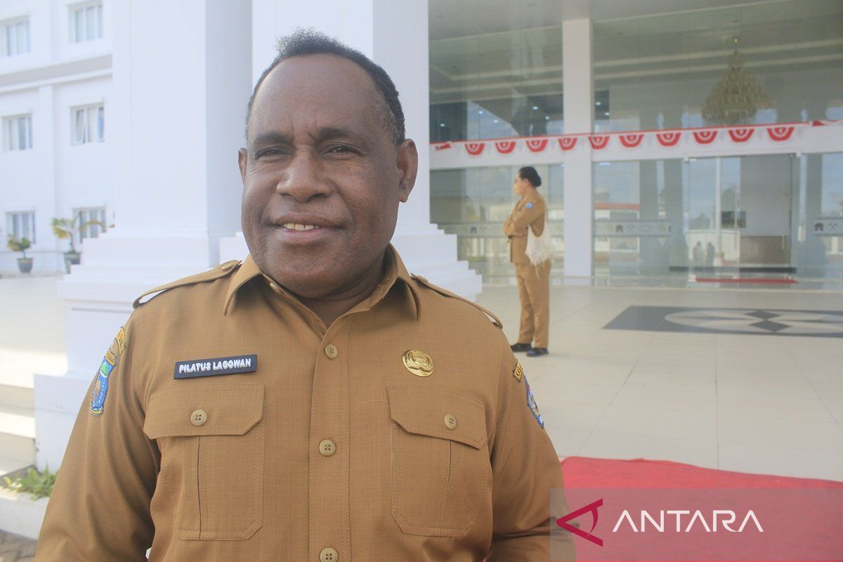 Pemkab Jayawijaya mendorong pelestarian tanaman bahan dasar noken