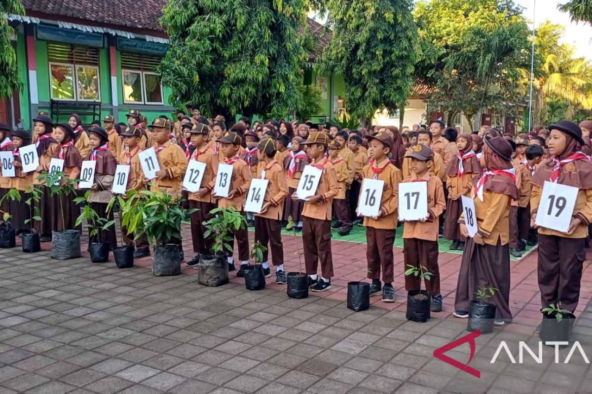 Madrasah di Jembrana tanam pohon endemik dari Papua untuk penghijauan