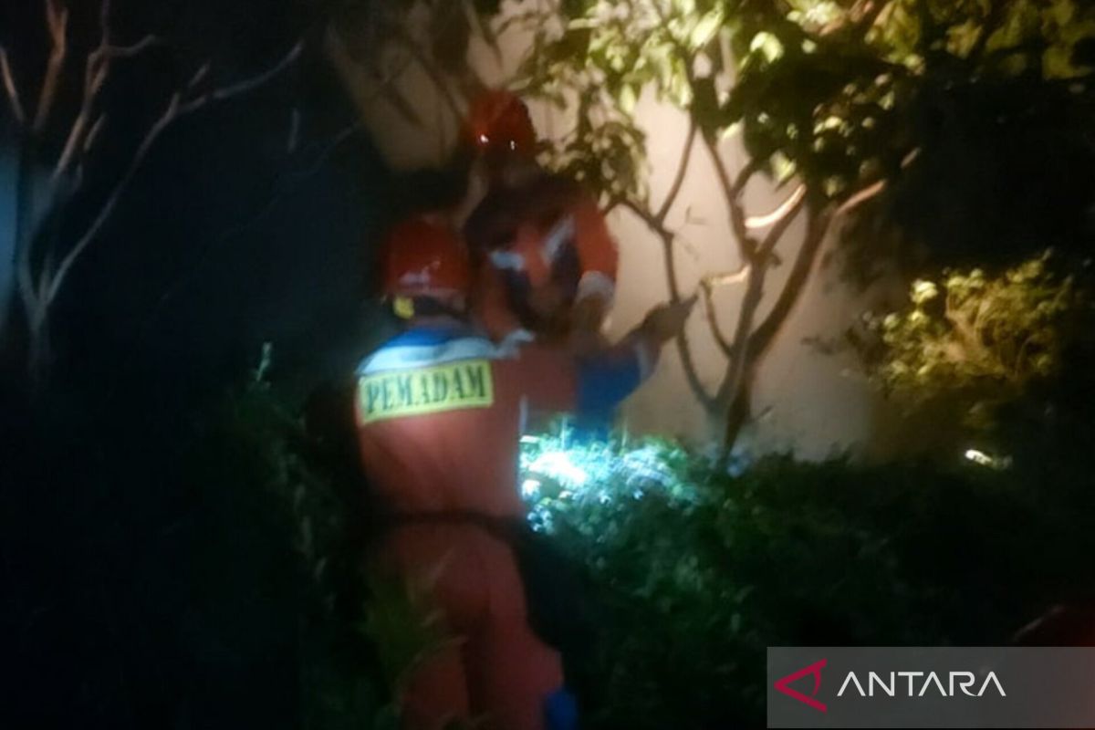Gulkarmat Jaktim evakuasi ular sanca dua meter dari pekarangan rumah