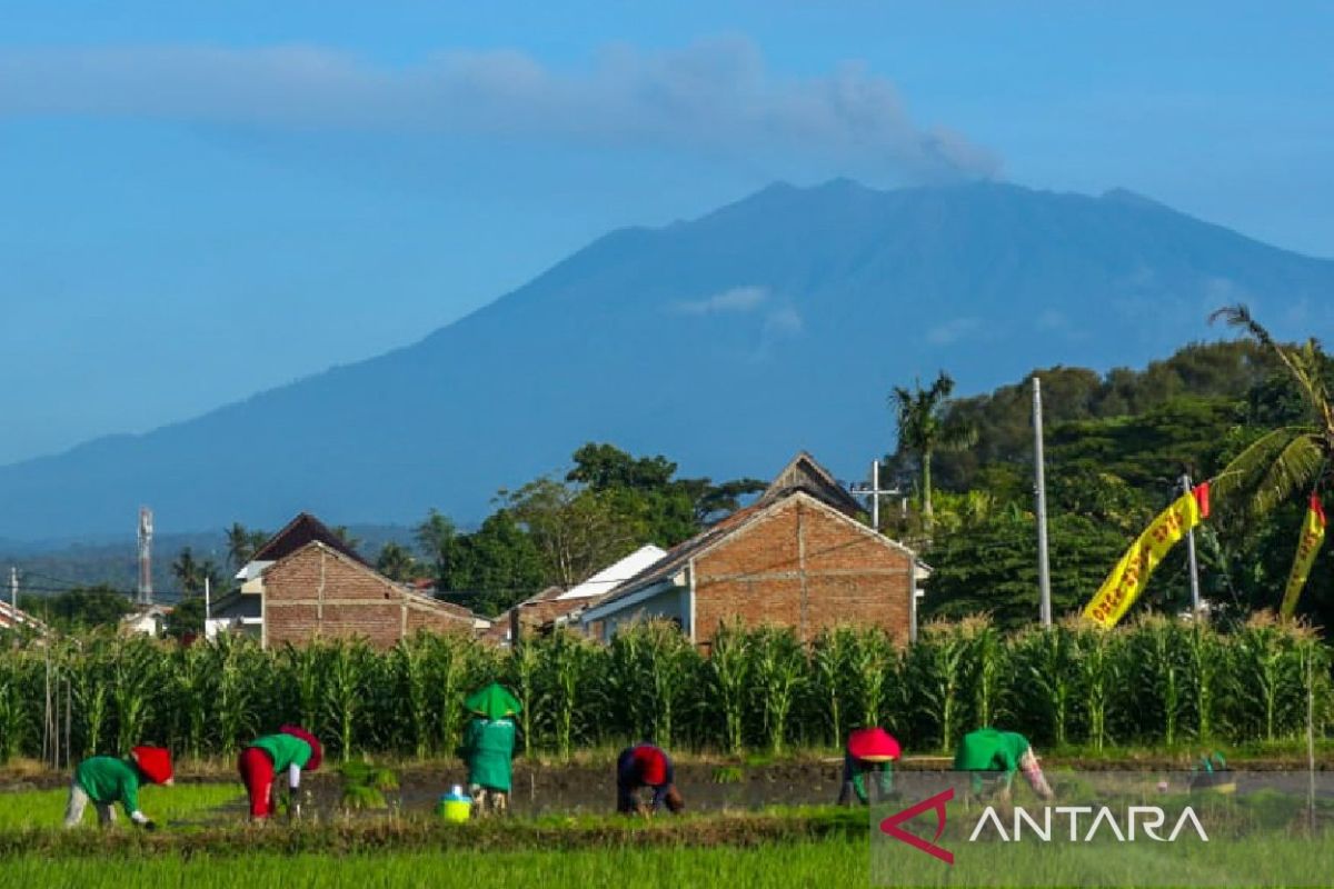 BPBD: Belum ada dampak erupsi Gunung Raung di Banyuwangi