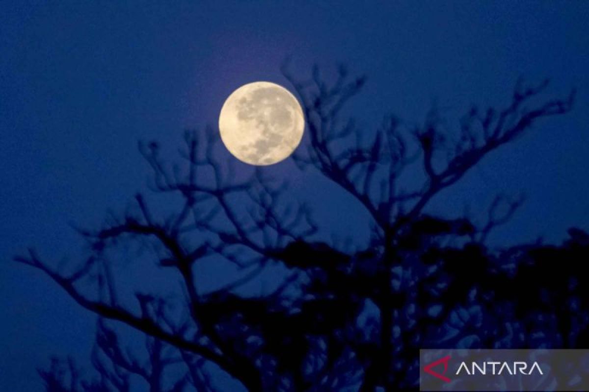 Fenomena Cold Moon: Purnama akhir tahun yang indah di langit Desember