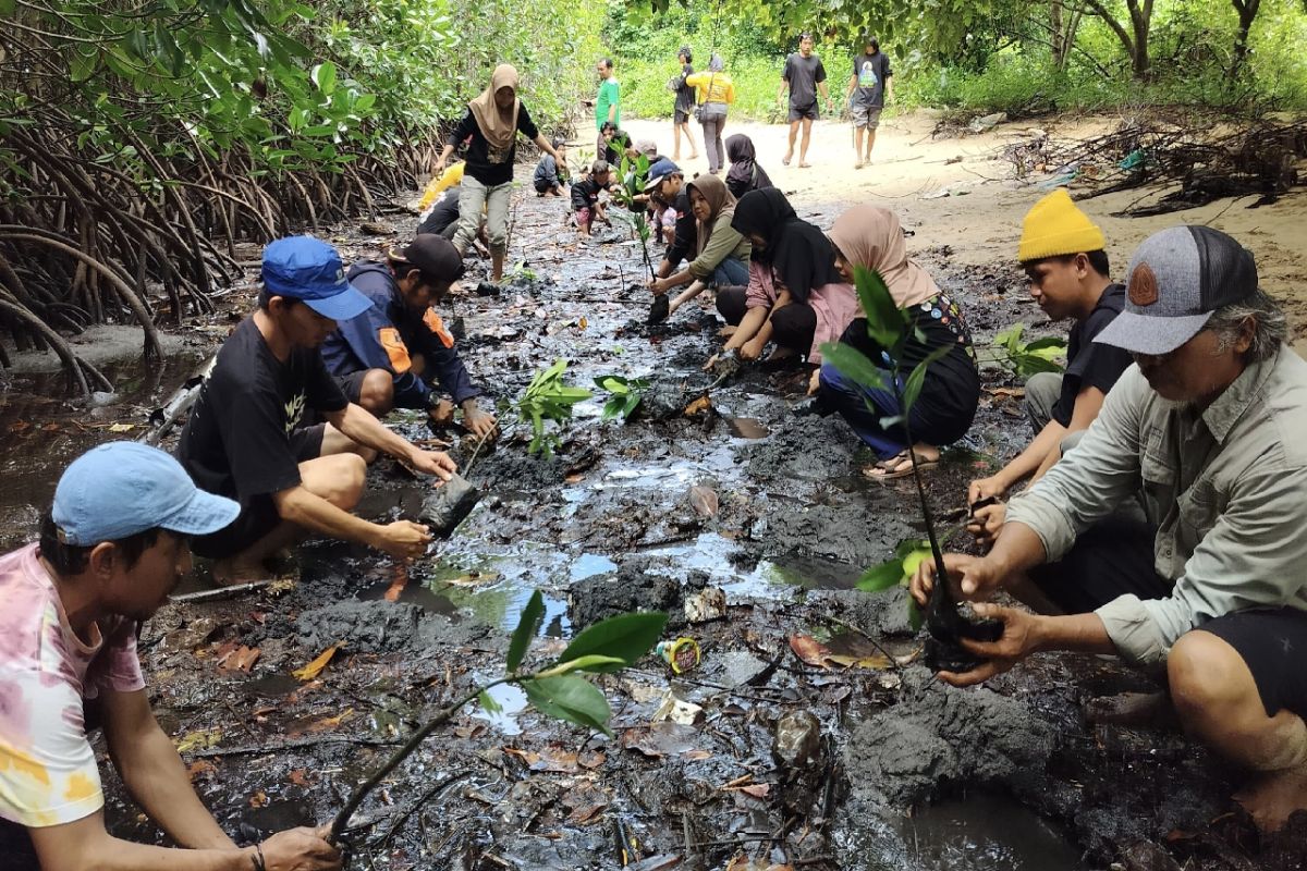 DLH Parigi Moutong Sulteng puji aksi FKPAPT tanam 1.000 bibit mangrove