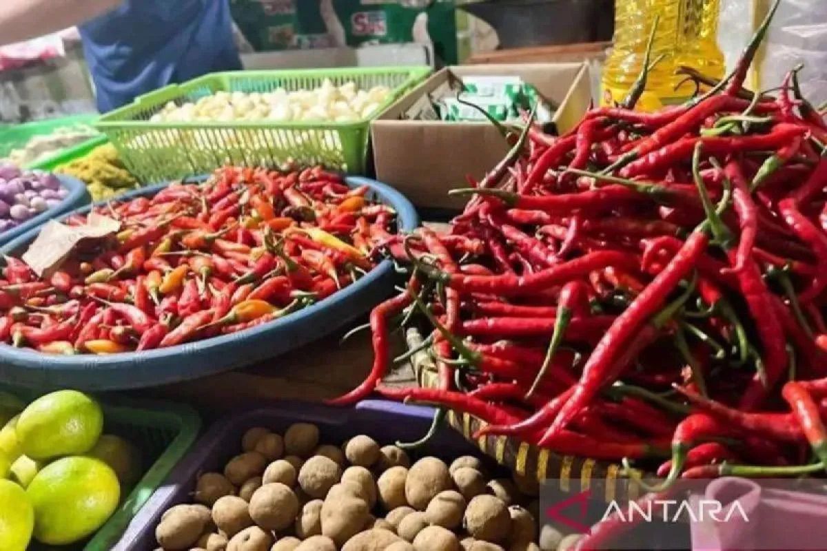 Harga pangan Sabtu ini, bawang merah Rp39.798/kg dan cabai rawit Rp50.523/kg