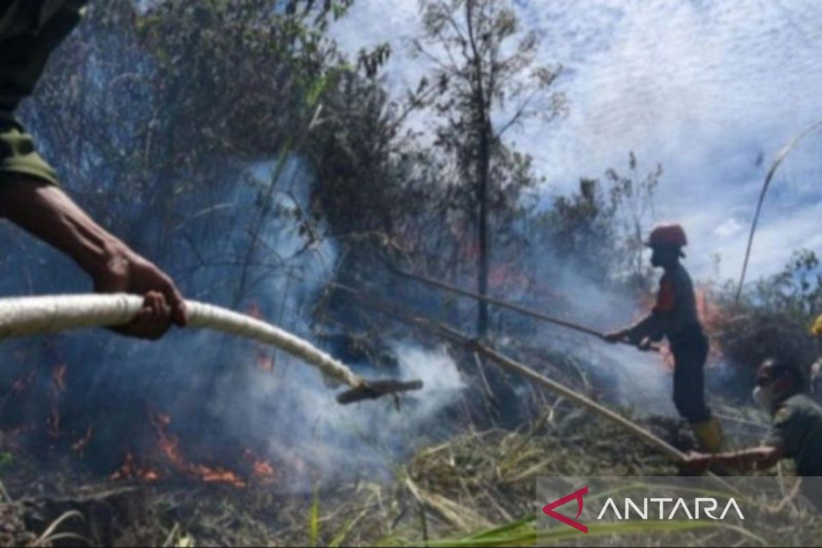 BMKG: Terpantau 14 titik  panas di Sumatera Utara