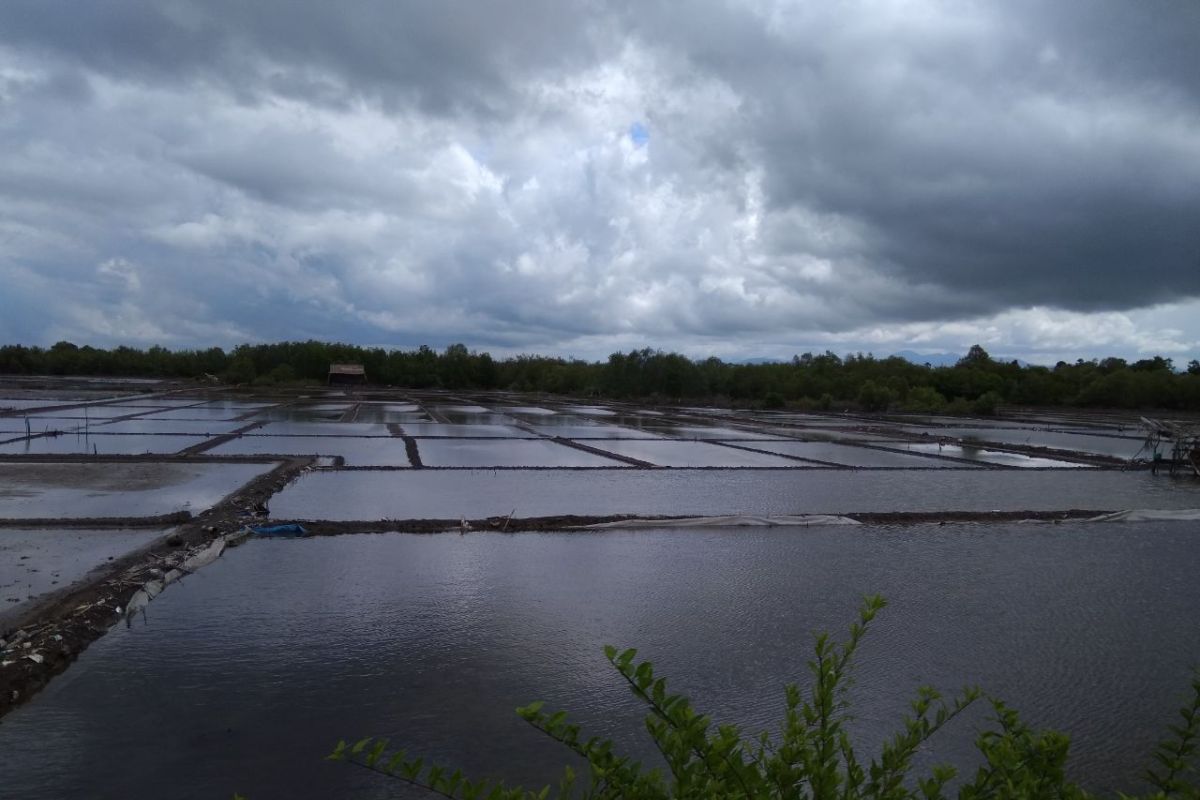 Empat hektare sawah di Sinjai terancam gagal panen karena banjir