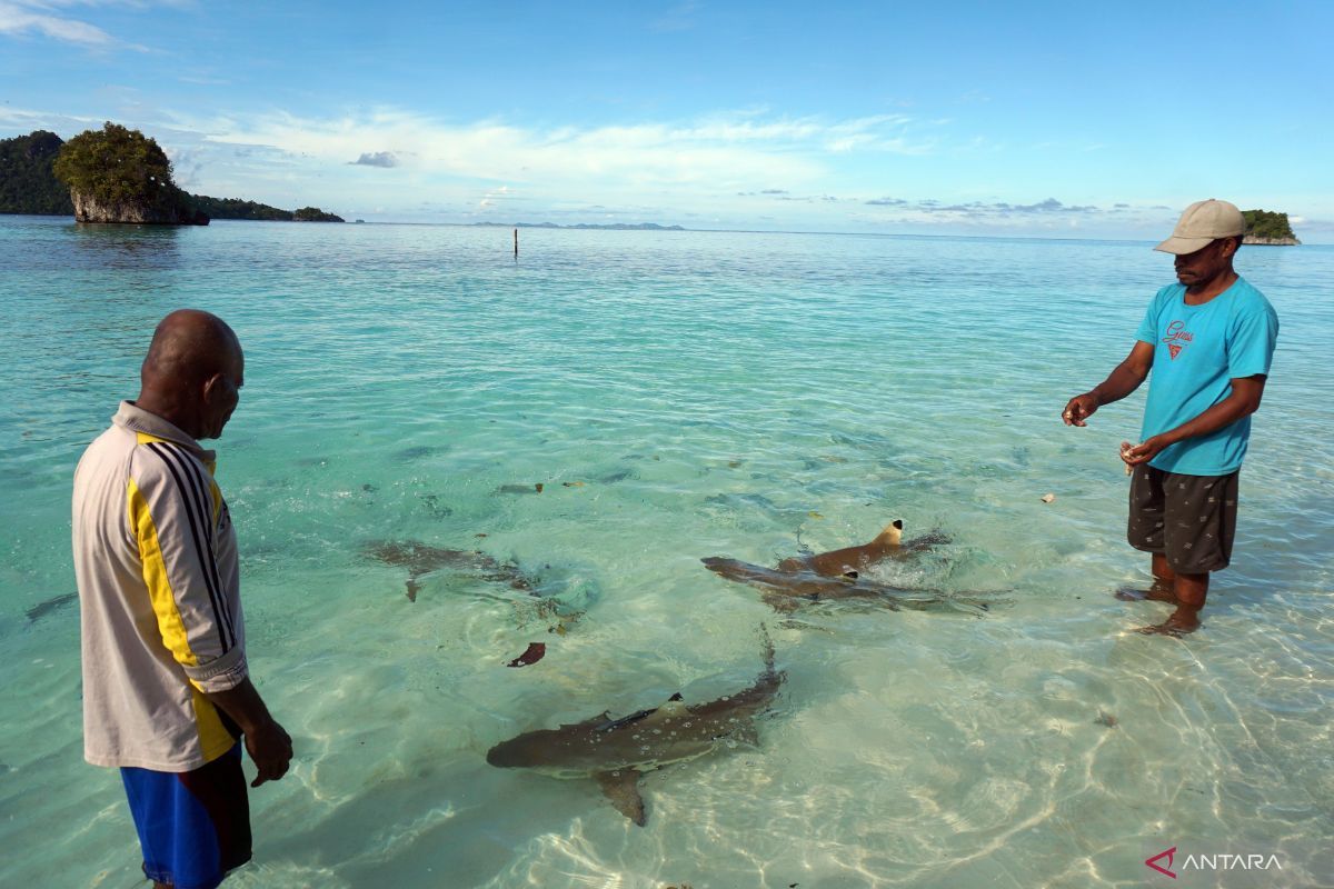 Penambangan Nikel Picu Kekhawatiran, Pemerintah Tegaskan Komitmen Lindungi Ekowisata Raja Ampat